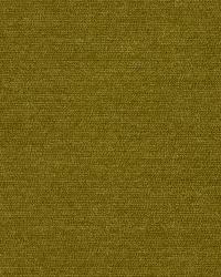 Soft Pallet Avocado by  Robert Allen 