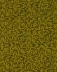 Sonic Boom Citron by   