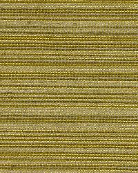 Disco Lines Citron by  Robert Allen 