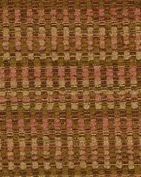 Spunky Weave Mango by  Robert Allen 