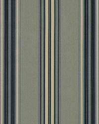 Small Spaces Squash by  Robert Allen 