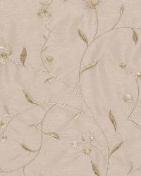 Nicolette Vanilla by  Robert Allen 