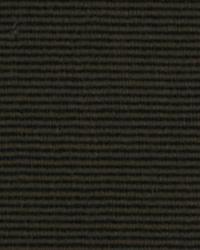 Aaliyah Thunder by  Robert Allen 