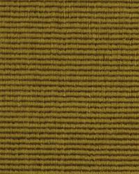 Aaliyah Camel by  Robert Allen 