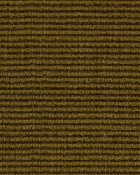 Aaliyah Caramel by  Robert Allen 