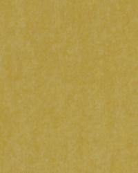 Wool Velvet Butter by  Robert Allen 