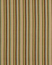 Rainbow Bright Peacock by  Robert Allen 