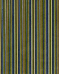 Nanni Bluebell by  Robert Allen 