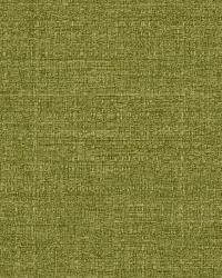 Welcoming Hues Kiwi by   