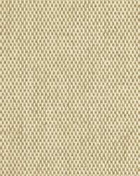 Payday Twine by  Robert Allen 