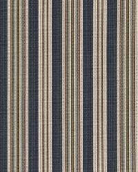 Abril Stripe Bluebell by  Robert Allen 