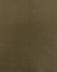 Bennett 702 Flax by  Telafina 