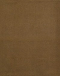 Bennett 703 Hazelnut by  Telafina 