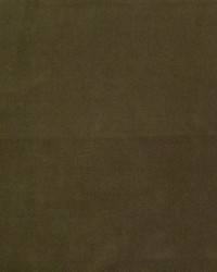 Bennett 704 Moss by  Telafina 