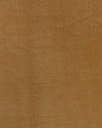 Bennett 705 Butterscotch by  Telafina 