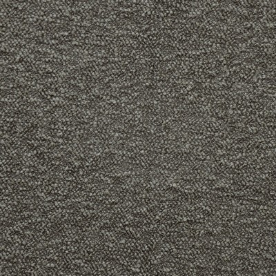 Telafina Fonda 905 Ash TELAFINA SEASON XV FO9905 Grey ACRYLIC/43%  Blend Boucle  High Wear Commercial Upholstery Fabric