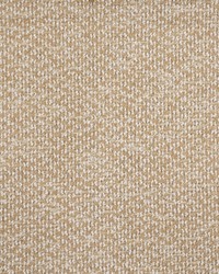 Marvin 404 Tan by  Telafina 