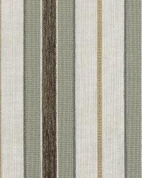 State Line Twine by  Robert Allen 