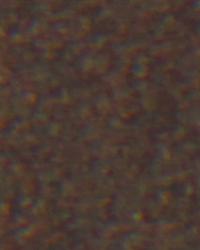 Wool Flannel Espresso by  Robert Allen 