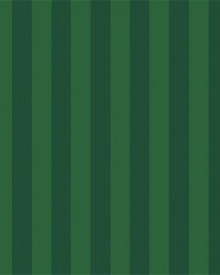 Courtside Stripe Green by  Ralph Lauren 
