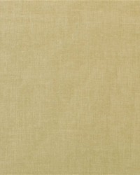 Burgao Sheer Champagne by  Ralph Lauren 