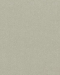 Workwear Twill Vellum by   