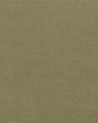 Workwear Twill Camel by   