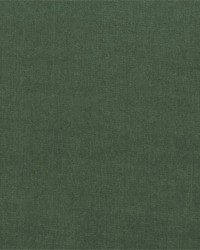 Workwear Twill Evergreen by   