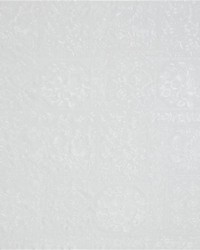 Williston Embroidery White by   