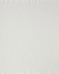 Rosecrest Matelasse Off White by   