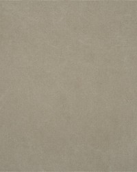 Canvas Taupe by   