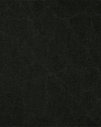 Canvas Polo Green by   