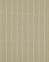 Amelot Ticking Slate by  Michaels Textiles 