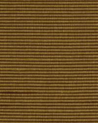 Winning Ways Ii Sienna by  Robert Allen 