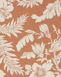 COOPER STAR ALABASTER by  Schumacher Wallpaper 