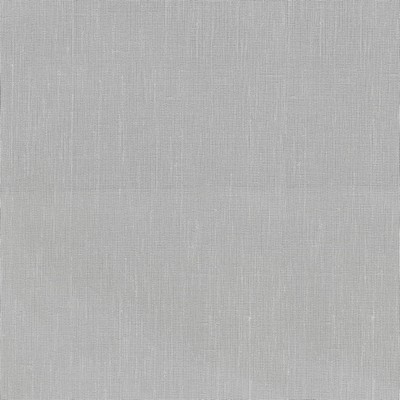 P K Lifestyles Ariana Silver in Portiere II collection Silver
