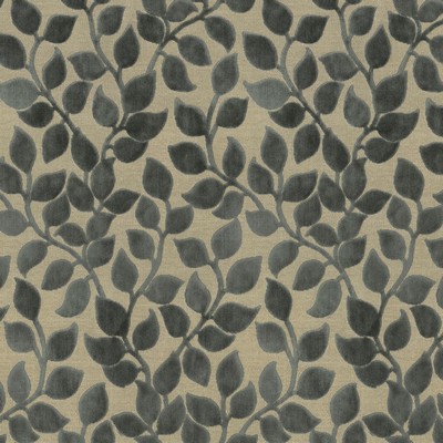 P K Lifestyles Lovely Leaf Charcoal in Cultural Exchange VI Grey Multipurpose Rayon  Blend Leaves and Trees  Patterned Velvet   Fabric