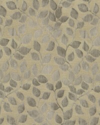 Lovely Leaf Driftwood by  S Harris 