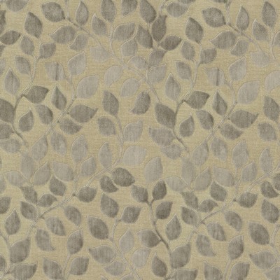 P K Lifestyles Lovely Leaf Driftwood in Cultural Exchange VI Brown Multipurpose Rayon  Blend Leaves and Trees  Patterned Velvet   Fabric