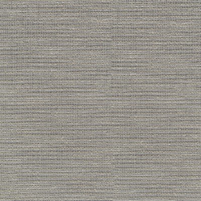 P K Lifestyles Sienna Shale in Portiere II collection Grey