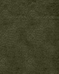 Perf Pebblestone Forest by   