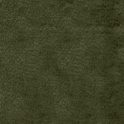 P K Lifestyles Perf Pebblestone Forest in Performance Plus VI Green Multipurpose Polyester High Performance  Fabric