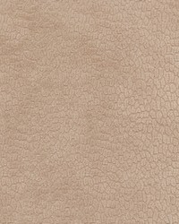 Perf Pebblestone Ballet by   