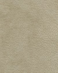 Perf Pebblestone Sand by   