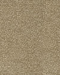 Perf Kenya Giraffe by   