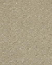 Mordini Sand Dollar by  Robert Allen 