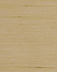 Leonardo Driftwood by   