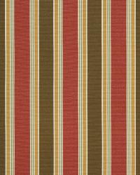 Chicora Stripe Rose by   