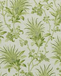 Drayton Park Pear by   