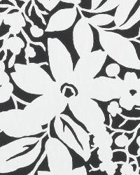 21118 12 by  Duralee 